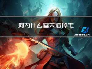 狗为什么冬天还掉毛