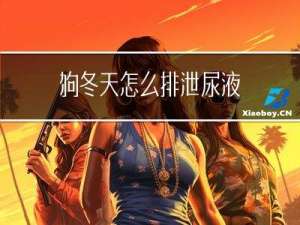 狗冬天怎么排泄尿液