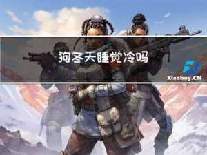 狗冬天睡觉冷吗