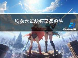 狗多大年龄怀孕最好生宝宝