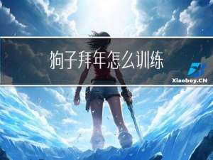 狗子拜年怎么训练