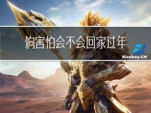 狗害怕会不会回家过年