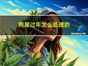 狗屎过年怎么处理的