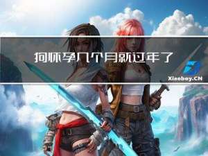 狗怀孕几个月就过年了吗