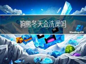 狗熊冬天会洗澡吗