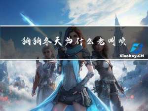 狗狗冬天为什么老叫唤