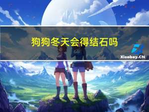 狗狗冬天会得结石吗