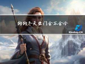 狗狗冬天出门会不会冷