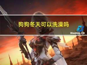 狗狗冬天可以洗澡吗