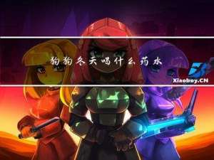 狗狗冬天喝什么药水