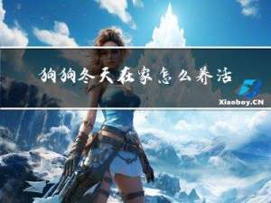 狗狗冬天在家怎么养活