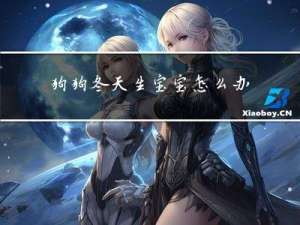 狗狗冬天生宝宝怎么办