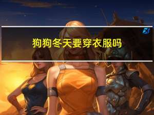 狗狗冬天要穿衣服吗