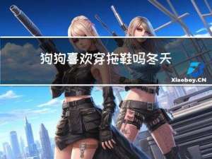 狗狗喜欢穿拖鞋吗冬天