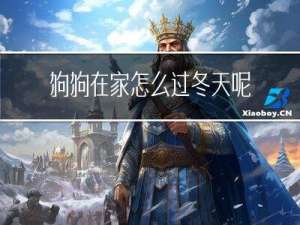 狗狗在家怎么过冬天呢