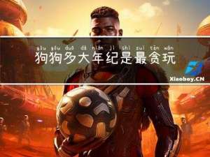 狗狗多大年纪是最贪玩的