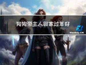 狗狗带主人回家过年好不好