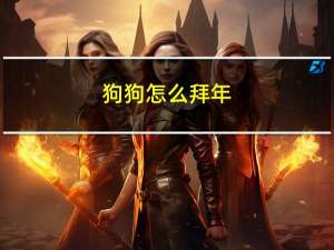 狗狗怎么拜年