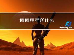 狗狗拜年送什么