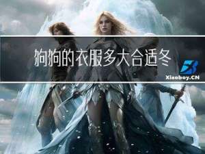 狗狗的衣服多大合适冬天