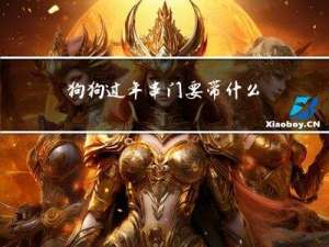 狗狗过年串门要带什么东西