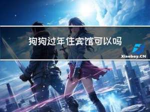 狗狗过年住宾馆可以吗