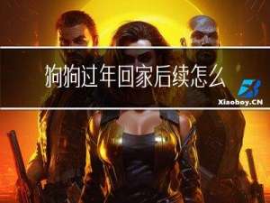 狗狗过年回家后续怎么处理