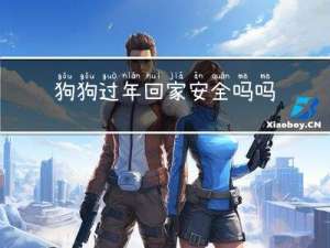 狗狗过年回家安全吗吗