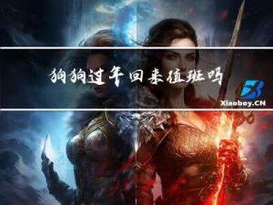 狗狗过年回来值班吗