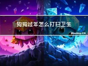 狗狗过年怎么打扫卫生呢