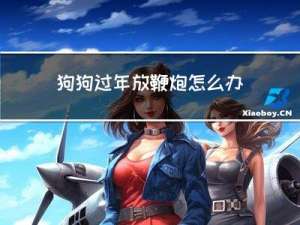 狗狗过年放鞭炮怎么办