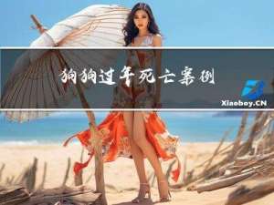 狗狗过年死亡案例