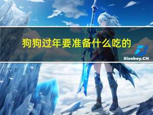 狗狗过年要准备什么吃的