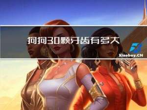 狗狗30颗牙齿有多大年纪