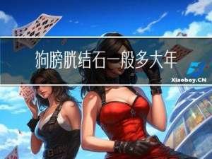 狗膀胱结石一般多大年龄