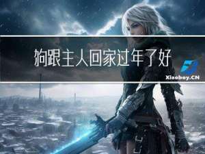 狗跟主人回家过年了好吗
