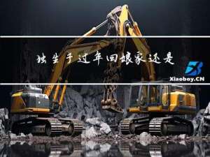 独生子过年回娘家还是婆家