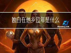 独自在他乡过年是什么感觉