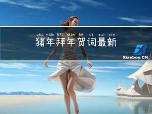 猪年拜年贺词最新