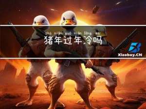 猪年过年冷吗