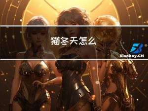 猫冬天怎么