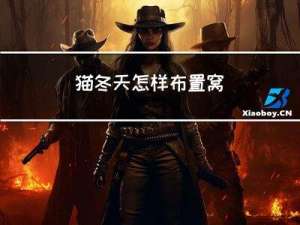 猫冬天怎样布置窝