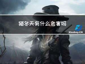 猫冬天有什么危害吗