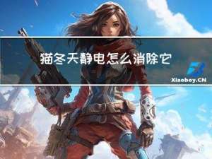猫冬天静电怎么消除它