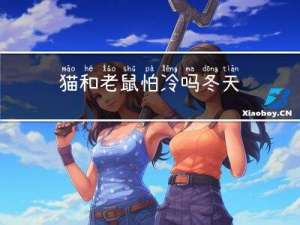 猫和老鼠怕冷吗冬天