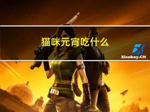 猫咪元宵吃什么