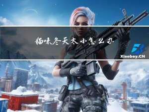 猫咪冬天太小怎么办