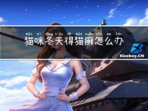 猫咪冬天得猫癣怎么办