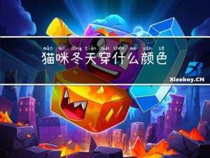 猫咪冬天穿什么颜色