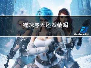 猫咪冬天还发情吗